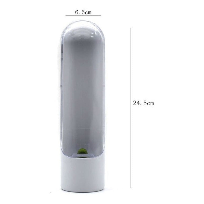 Cápsula Almacenamiento Contenedor  Hierbas  Frescas